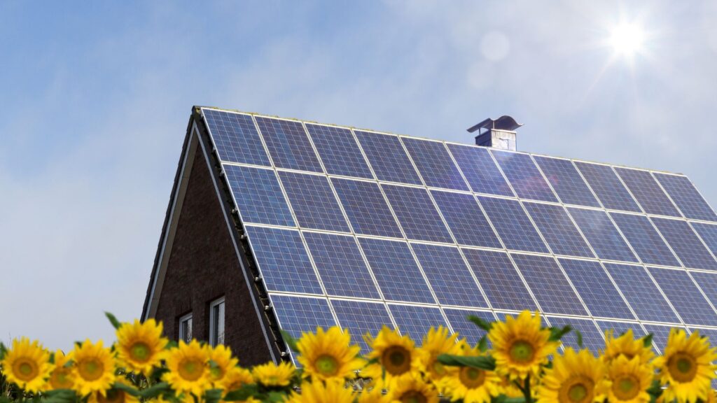 Diseño de sistemas solares comerciales en Guadalajara para empresas.